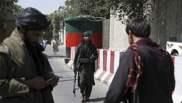 阿富汗抵抗力量認為喀布爾抗議是響應馬蘇德的呼籲 - 俄羅斯衛星通訊社
