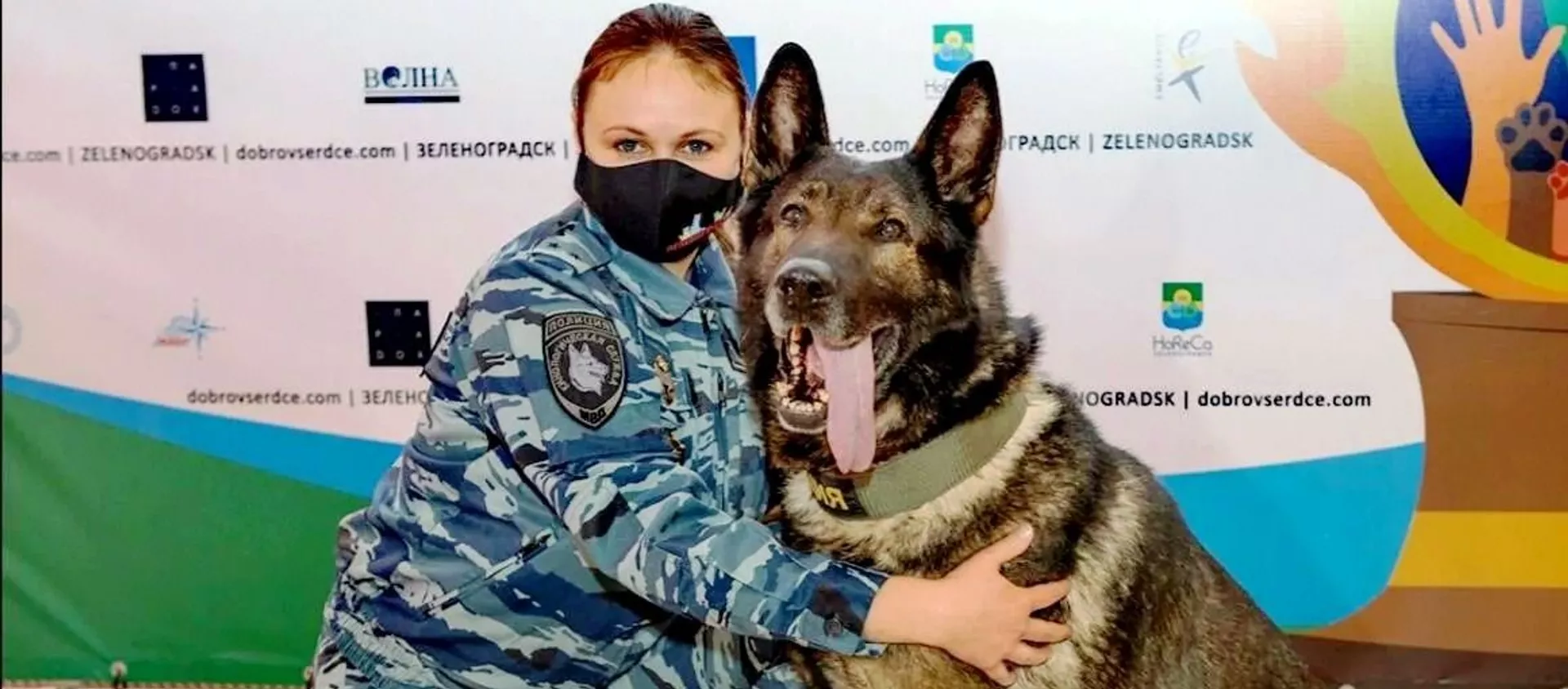 Впервые за всю историю премии Собачья верность этой награды удостоен пес из России Волк-Меркурий - 俄羅斯衛星通訊社, 1920, 17.08.2021