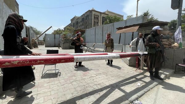 媒體：塔利班分子在阿富汗楠格哈爾省毆打記者 - 俄羅斯衛星通訊社