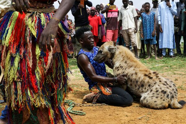 尼日利亚北部居民的炫目宠物：鬣狗和蛇 - 俄罗斯卫星通讯社