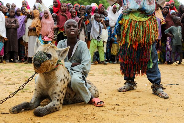 尼日利亞北部居民的炫目寵物：鬣狗和蛇 - 俄羅斯衛星通訊社