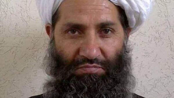 Taliban leader Mullah Haibatullah Akhundzada - 俄羅斯衛星通訊社