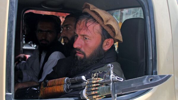 Мехтарлам под контролем запрещенной в РФ организации Талибан - 俄罗斯卫星通讯社