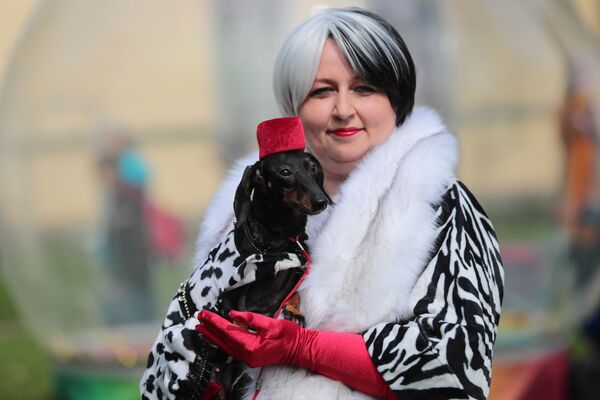 聖彼得堡“ 達克斯犬遊行”的參加者 - 俄羅斯衛星通訊社