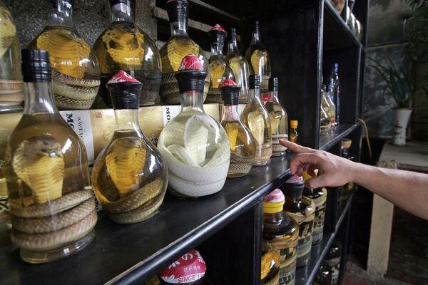 河内一家餐厅售卖的蛇酒。 - 俄罗斯卫星通讯社