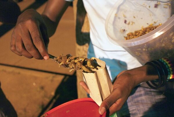 乌干达街头售卖的烤蚂蚱。 - 俄罗斯卫星通讯社