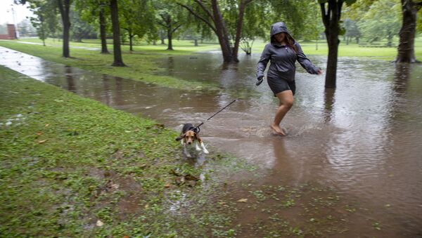 Девушка с собакой на затопленной улице после тропического шторма Генри в США  - 俄羅斯衛星通訊社