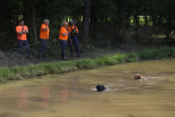 搜救犬在災區搜尋失蹤人員。 - 俄羅斯衛星通訊社