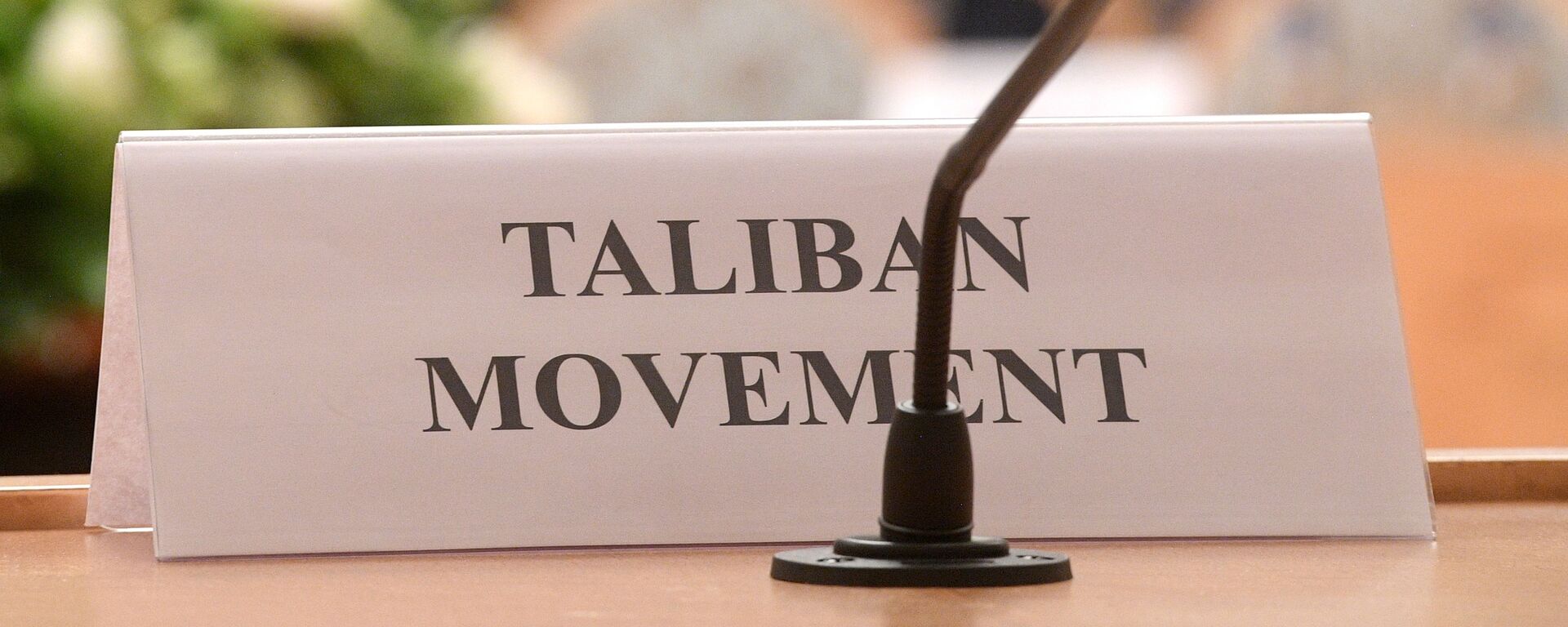 媒体：塔利班暂未收到参加上合组织撒马尔罕峰会的邀请 - 俄罗斯卫星通讯社, 1920, 14.09.2022