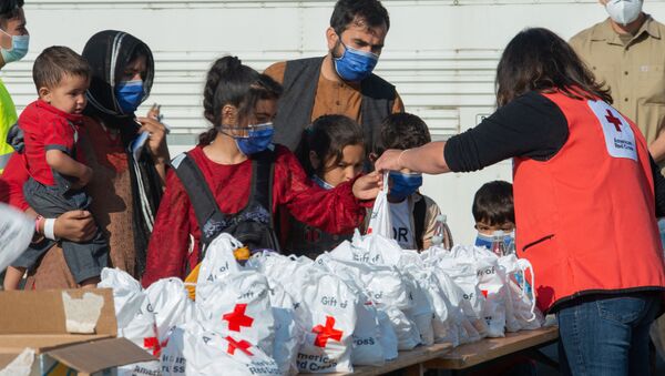 德國總理：德不僅會接收阿富汗當地僱員 還會接收需要庇護的人 - 俄羅斯衛星通訊社