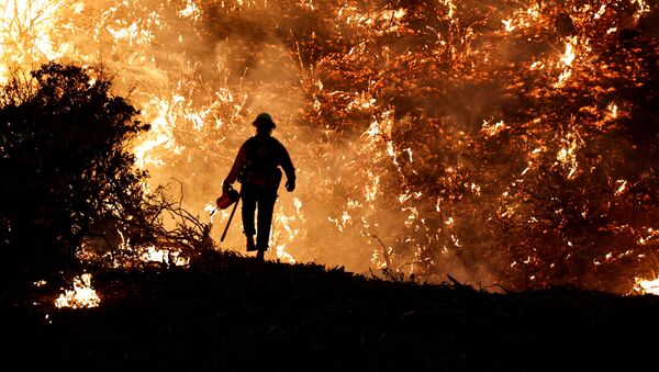 Пожарный во время пожара в Калифорнии, США - 俄羅斯衛星通訊社