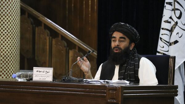 塔利班呼吁飞行员留在阿富汗 - 俄罗斯卫星通讯社