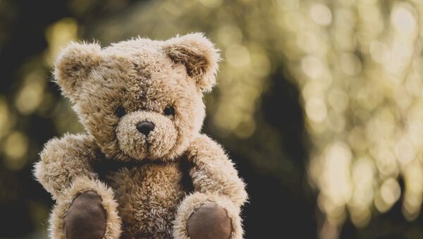 薩哈林一男子在朋友家的玩具熊中發現300萬盧布並盜走 - 俄羅斯衛星通訊社