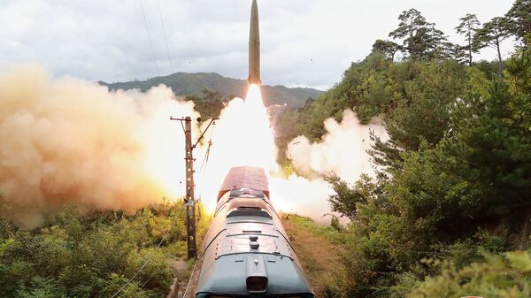 媒体：朝鲜7月12日试射导弹的飞行时间创下新纪录 - 俄罗斯卫星通讯社