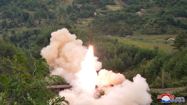 衛星照片顯示朝鮮正在擴建武器級鈾生產設施 - 俄羅斯衛星通訊社
