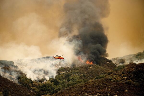 美國加州紅杉國家公園發生火災  - 俄羅斯衛星通訊社