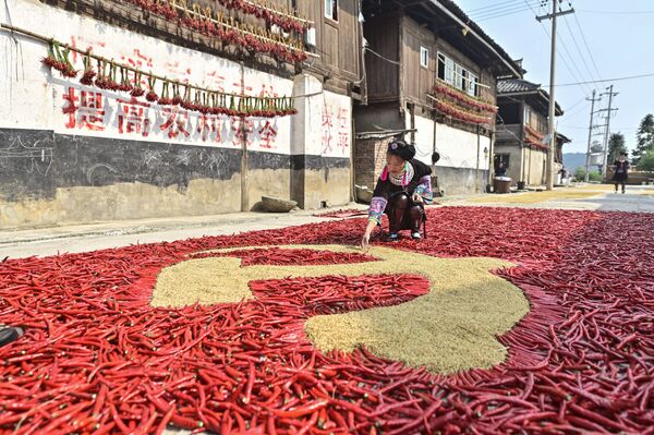 贵州女孩用玉米和辣椒摆出中国共产党党旗   - 俄罗斯卫星通讯社