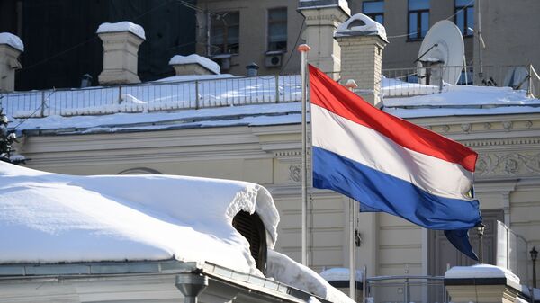 荷兰国旗 - 俄罗斯卫星通讯社