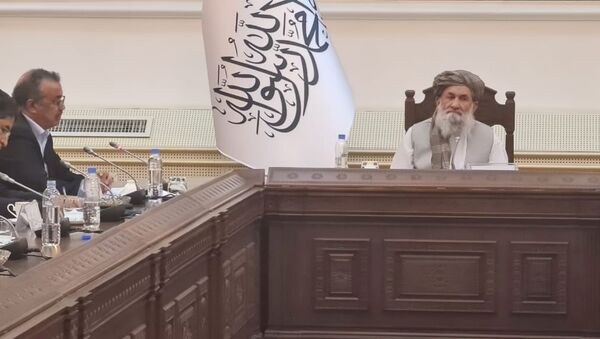 塔利班領導人其首次電視講話中尋求幫助 - 俄羅斯衛星通訊社