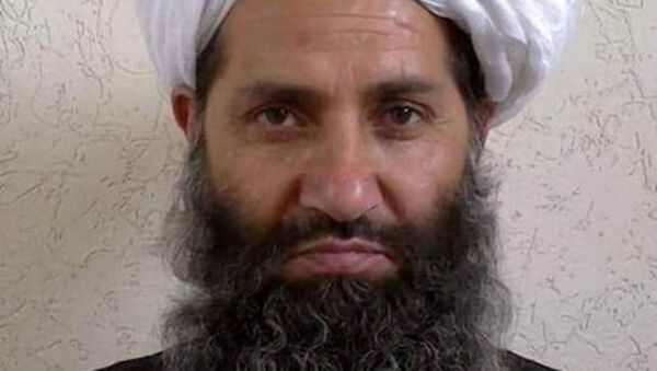 Лидер Талибана Хайбатулла Ахундзада - 俄羅斯衛星通訊社