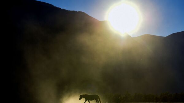 俄學家：太陽活動水平在最近三個月里增長70% - 俄羅斯衛星通訊社