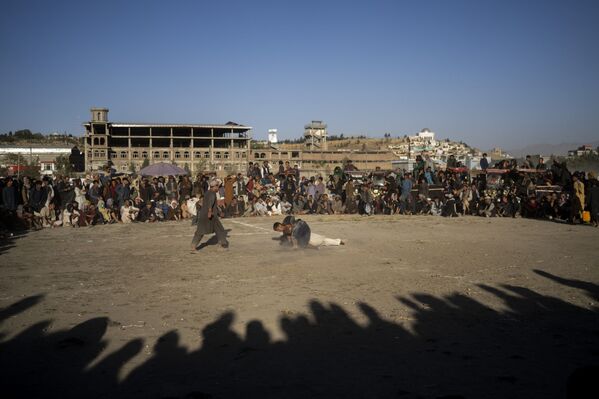 阿富汗人在喀布爾的一個公園裡觀看傳統摔跤比賽。 - 俄羅斯衛星通訊社
