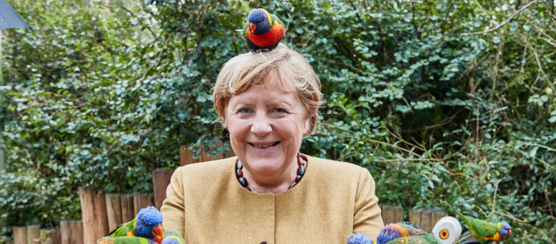 What a cracker! Merkel pecked by parrot - 俄羅斯衛星通訊社, 1920, 25.09.2021