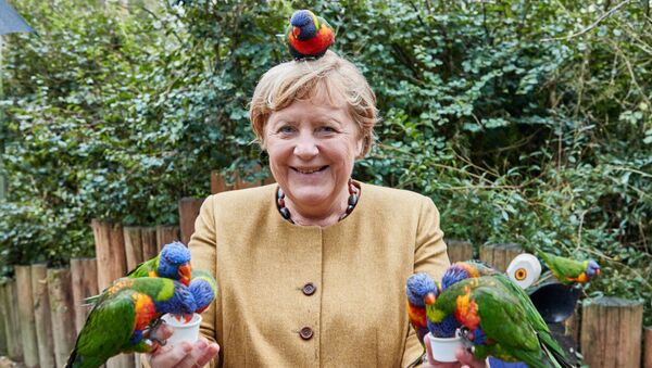 What a cracker! Merkel pecked by parrot - 俄罗斯卫星通讯社