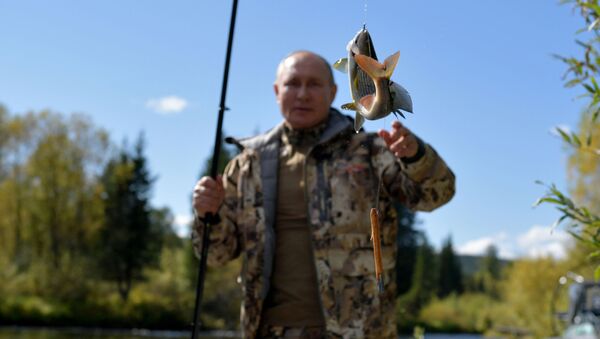 俄总统普京在原始森林中钓鱼。 - 俄罗斯卫星通讯社