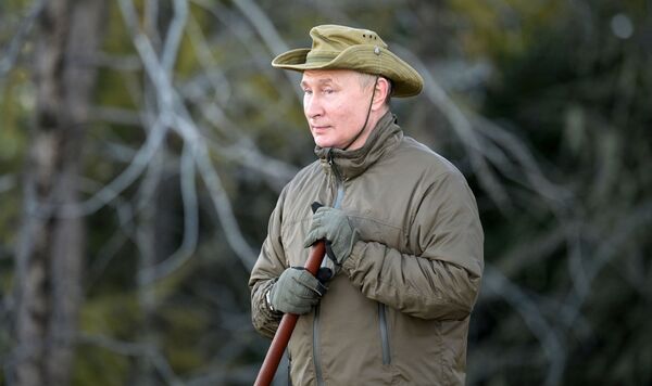 俄总统普京在原始森林中散步。 - 俄罗斯卫星通讯社