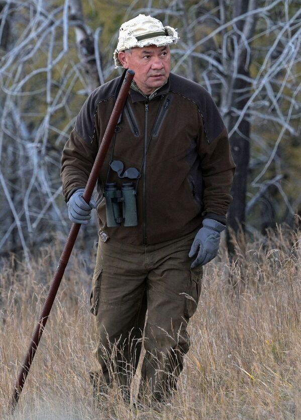 國防部長紹伊古在原始森林中散步。 - 俄羅斯衛星通訊社