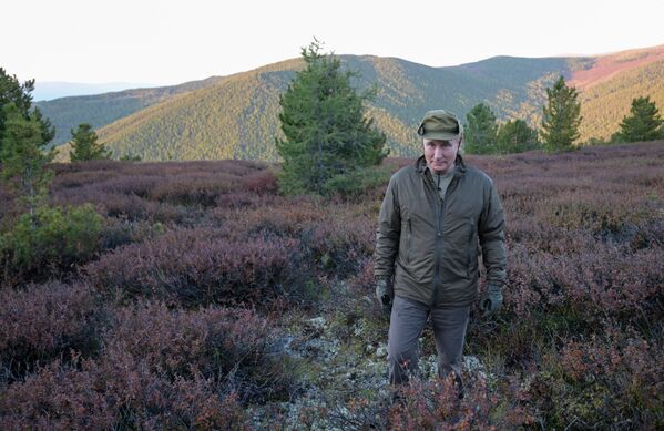 俄總統普京在原始森林中散步。 - 俄羅斯衛星通訊社