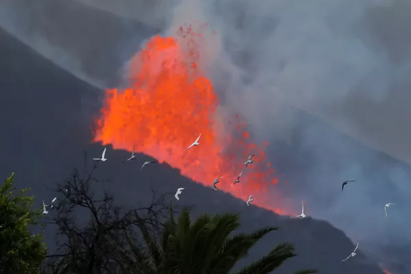拉帕爾馬島的居民實時觀看火山噴發 拉帕爾馬島的居民實時觀看火山噴發 - 俄羅斯衛星通訊社