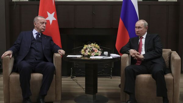 俄土領導人討論安全保障建議以及敘利亞和利比亞局勢 - 俄羅斯衛星通訊社