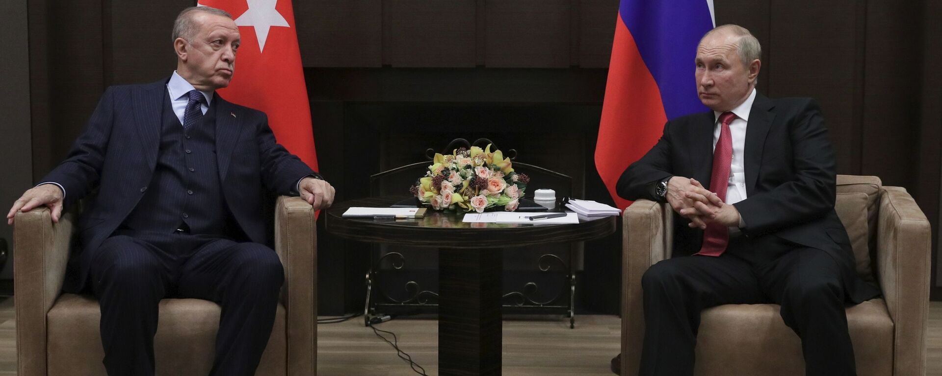 土耳其总统埃尔多安和俄罗斯总统普京 - 俄罗斯卫星通讯社, 1920, 11.10.2022