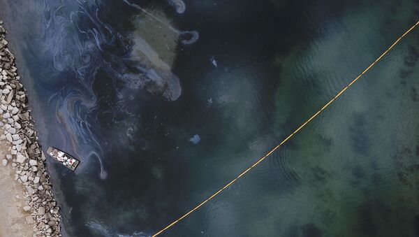 美國加州奧蘭治縣因海岸發生嚴重原油洩漏事故進入緊急狀態 - 俄羅斯衛星通訊社
