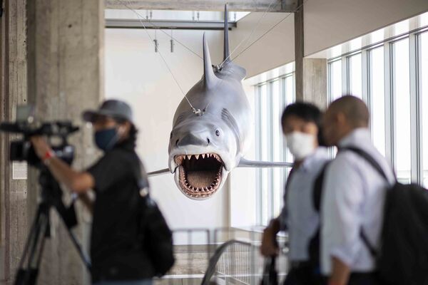 加州洛杉磯，奧斯卡電影博物館裡影片《大白鯊》中的道具。 - 俄羅斯衛星通訊社
