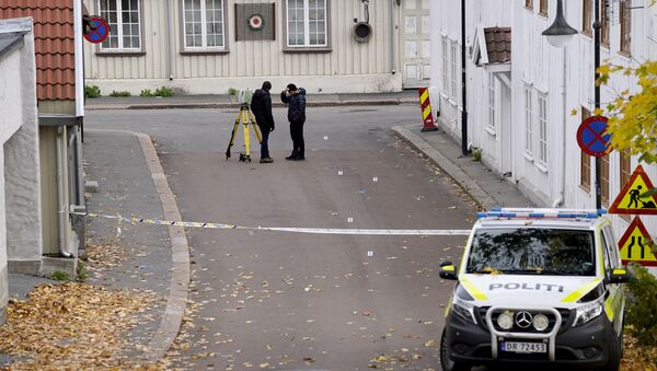 挪威警方：该国弓箭袭击案件导致4名女性和1名男性死亡 死者年纪皆在50岁以上 - 俄罗斯卫星通讯社