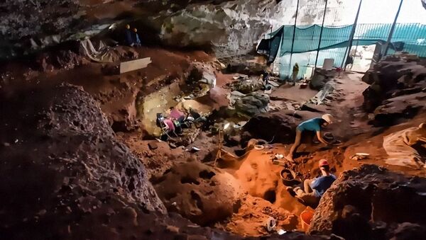 Раскопки в итальянской пещере Романелли - 俄羅斯衛星通訊社