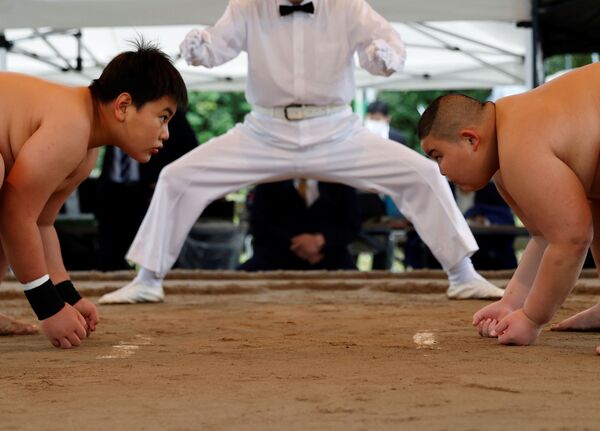 日本青少年相撲運動員在全日本小學生奧林匹克杯相撲比賽中角逐。 - 俄羅斯衛星通訊社