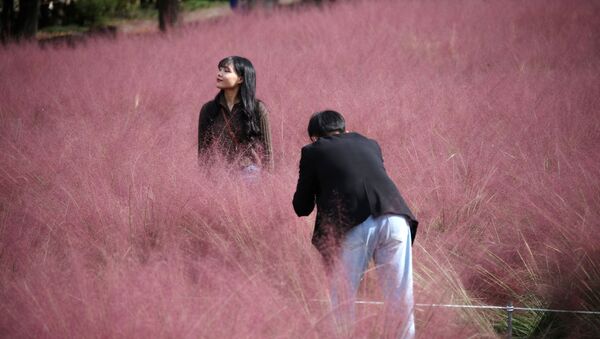 韓國情侶在河南市風輪菜園拍照留念。 - 俄羅斯衛星通訊社