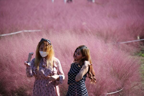韩国女孩在河南市鹿草园拍照留念。 - 俄罗斯卫星通讯社
