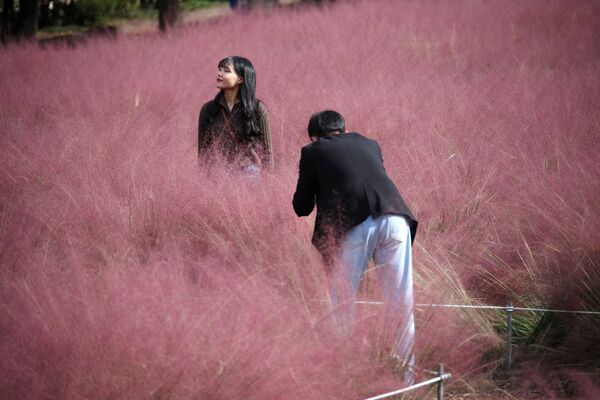 韩国情侣在河南市风轮菜园拍照留念。 - 俄罗斯卫星通讯社