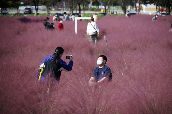 韓國情侶在河南市鹿草園拍照留念。 - 俄羅斯衛星通訊社