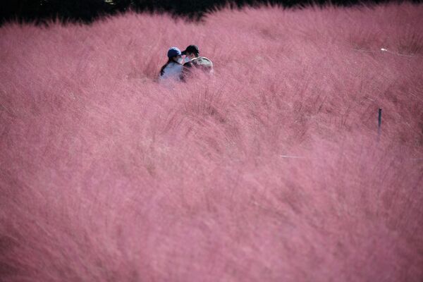 韓國情侶在河南市鹿草園拍照留念。 - 俄羅斯衛星通訊社