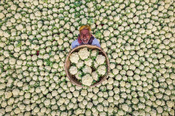 孟加拉国摄影师Rafid Yasar（拉菲德•亚萨尔）拍摄的作品《快乐农民》。 - 俄罗斯卫星通讯社