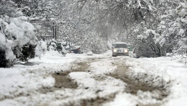 Автомобиль во время снегопада - 俄羅斯衛星通訊社