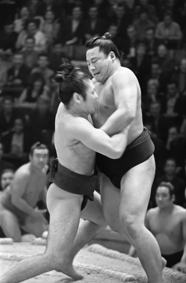 日本相撲運動員在舞台上進行表演。  - 俄羅斯衛星通訊社