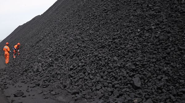 專家：俄羅斯將加大對華煤炭供應 - 俄羅斯衛星通訊社