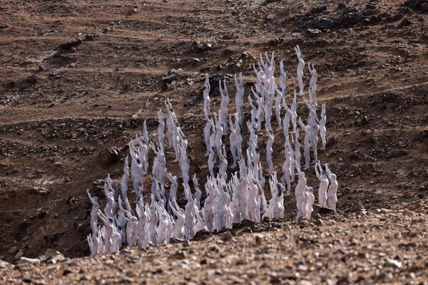 美國攝影師斯賓塞·圖尼克在以色列城市阿拉德附近的沙漠中拍攝群體裸照。 - 俄羅斯衛星通訊社